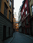 P5070154.jpg